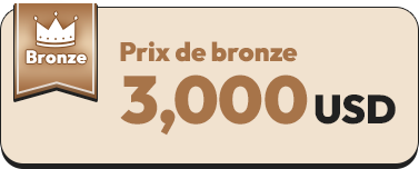 Prix de bronze : 3 000 USD