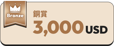 Bronze prize 3,000USD