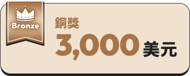 銅獎 3,000 美元