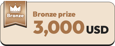 Bronze prize 3,000USD
